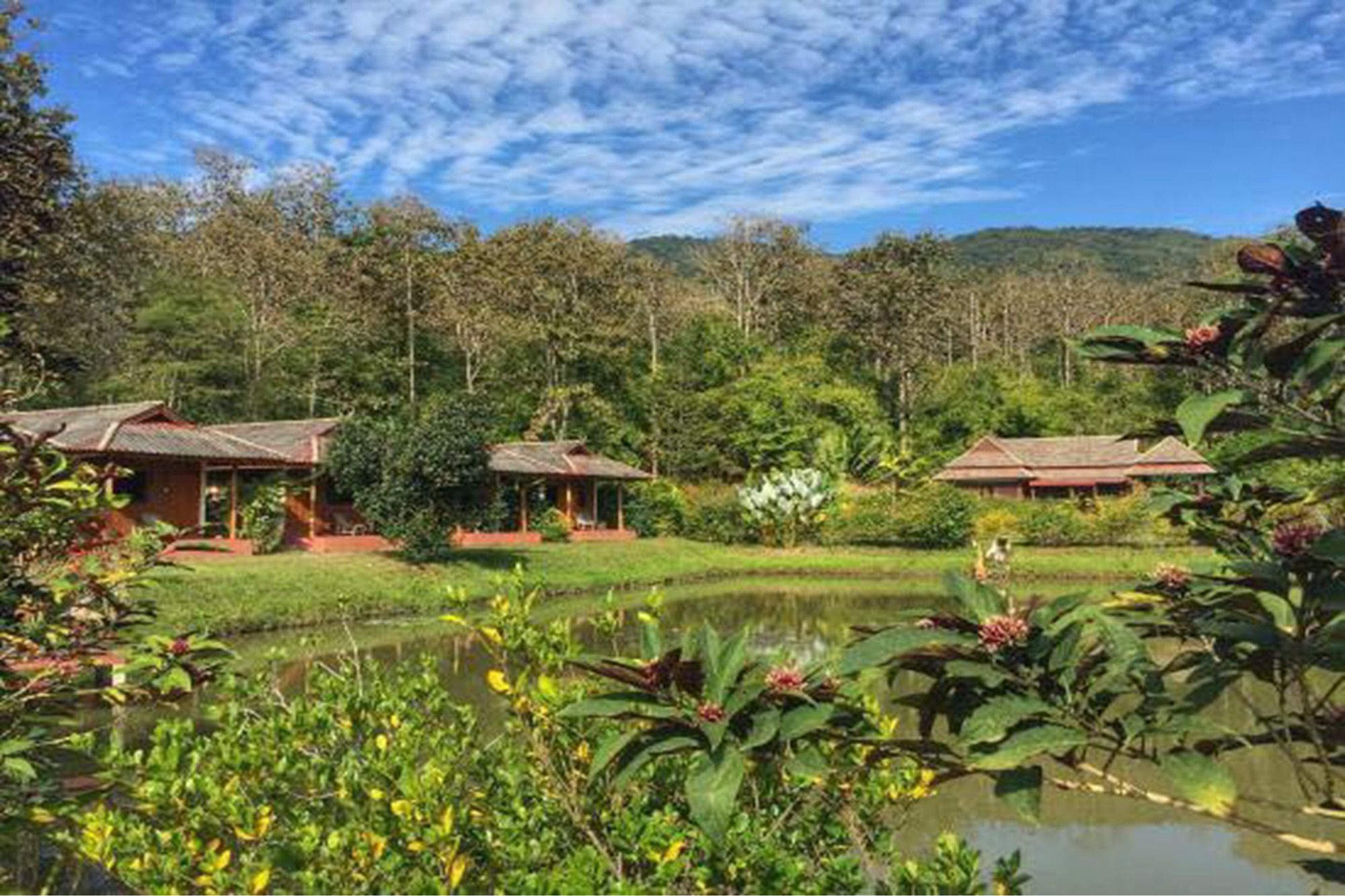 Noks Garden Resort Chiang Rai Luaran gambar