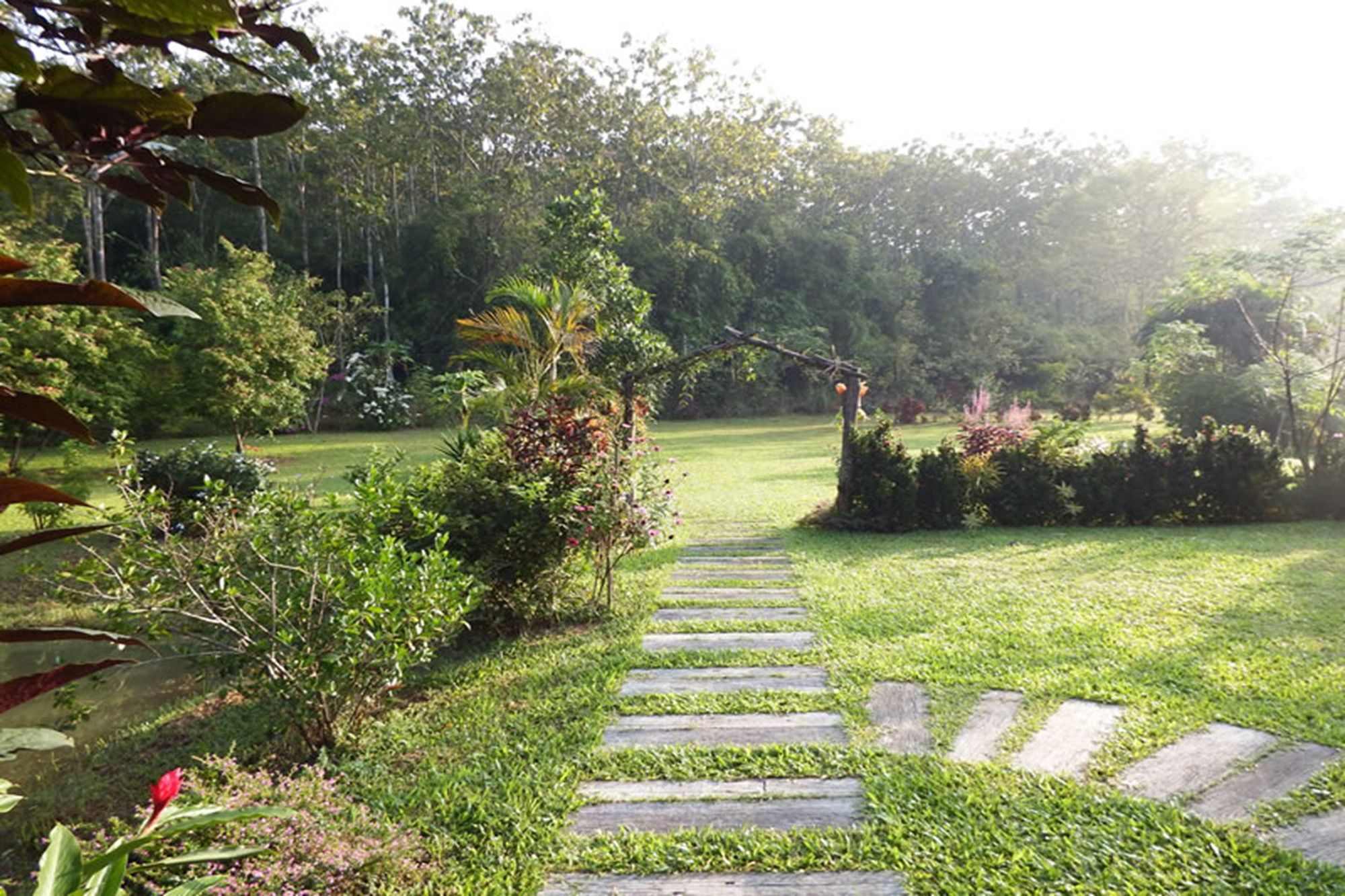Noks Garden Resort Chiang Rai Luaran gambar